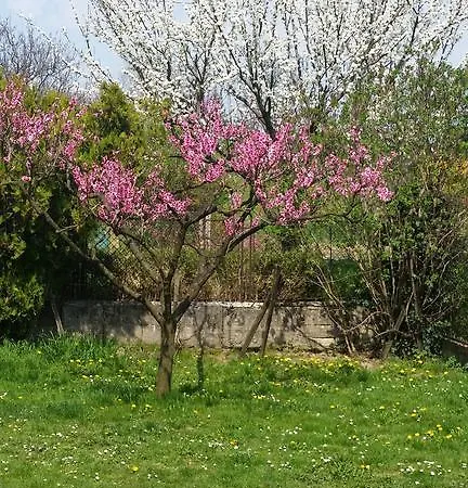 Var-lak Vendeghaz