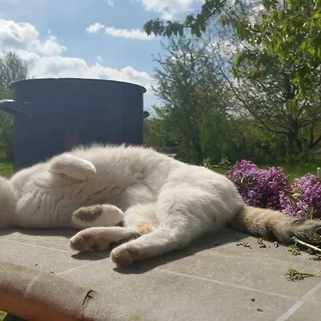 Konukevi Var-lak Vendeghaz Csesznek
