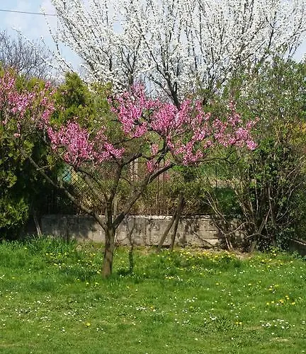 Var-lak Vendeghaz